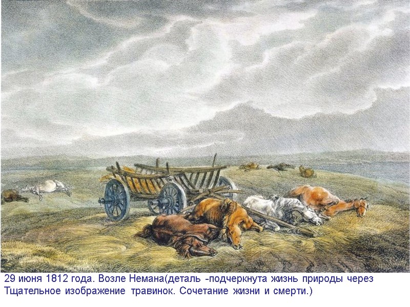 29 июня 1812 года. Возле Немана(деталь -подчеркнута жизнь природы через  Тщательное изображение травинок.